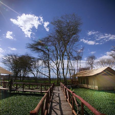 Отель Kiboko Luxury Camp Найваша Экстерьер фото