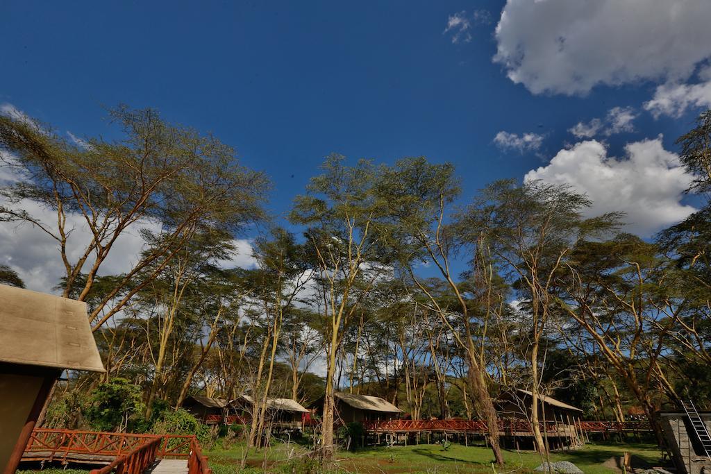 Отель Kiboko Luxury Camp Найваша Экстерьер фото